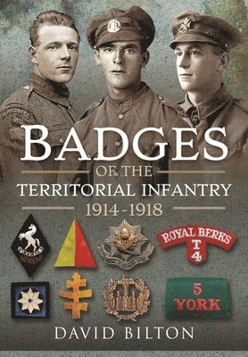 Badges of the Territorial Infantry, 1914-1918 1