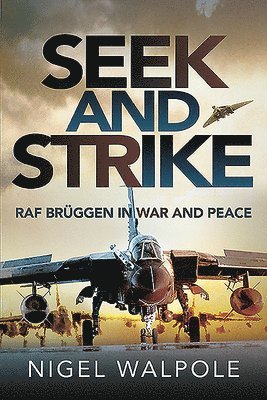 bokomslag Seek and Strike