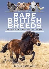 bokomslag Rare British Breeds