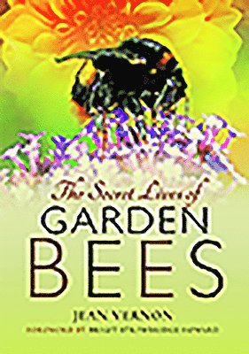 bokomslag The Secret Lives of Garden Bees