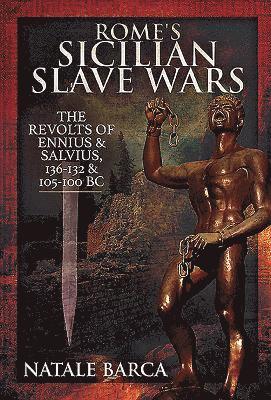 bokomslag Rome's Sicilian Slave Wars