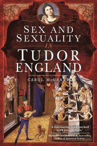 bokomslag Sex and Sexuality in Tudor England