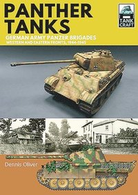 bokomslag Panther Tanks: Germany Army Panzer Brigades
