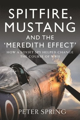 bokomslag Spitfire, Mustang and the 'Meredith Effect'