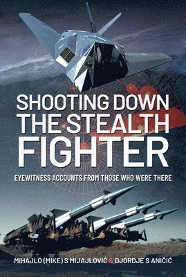 Shooting Down the Stealth Fighter 1