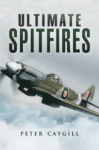 bokomslag Ultimate Spitfires