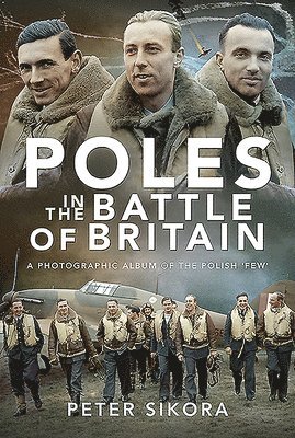 bokomslag Poles in the Battle of Britain