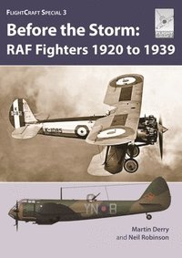 bokomslag Flight Craft Special 3: RAF Fighters Before the Storm