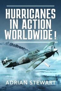 bokomslag Hurricanes in Action Worldwide!