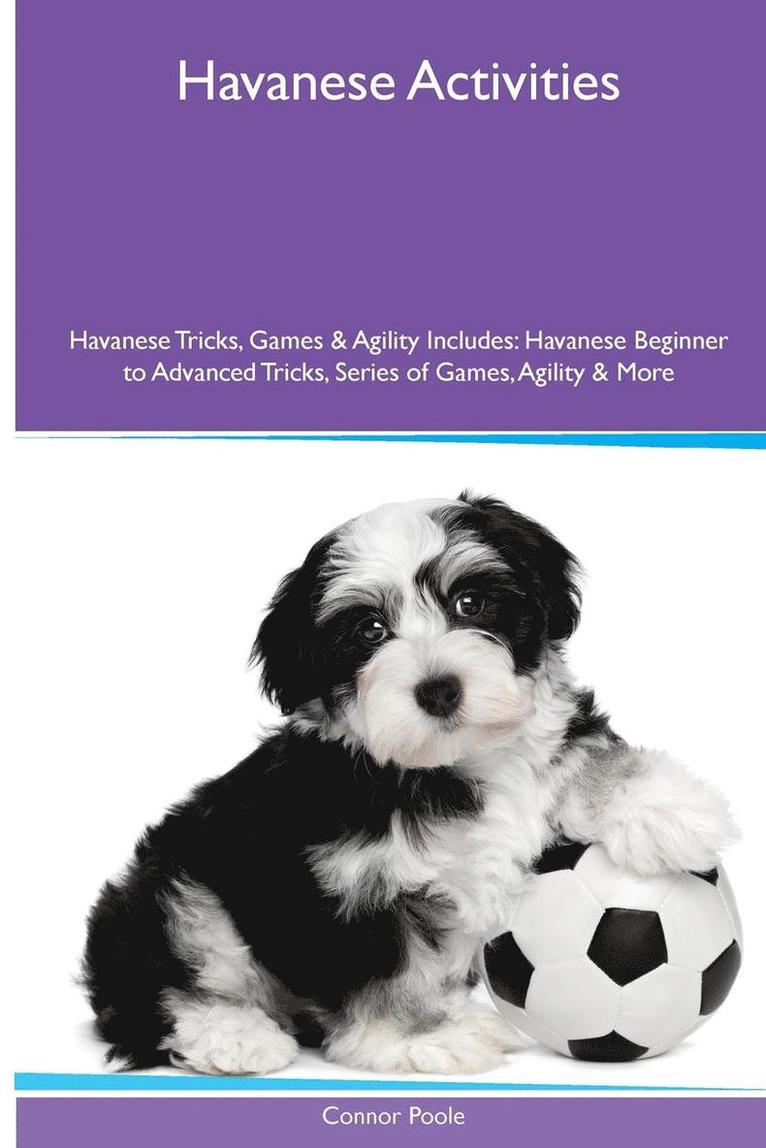 Connor Poole - Havanese (Bichon Havanais) Activities Havanese Tricks, Games & Agility. Includes, Häftad