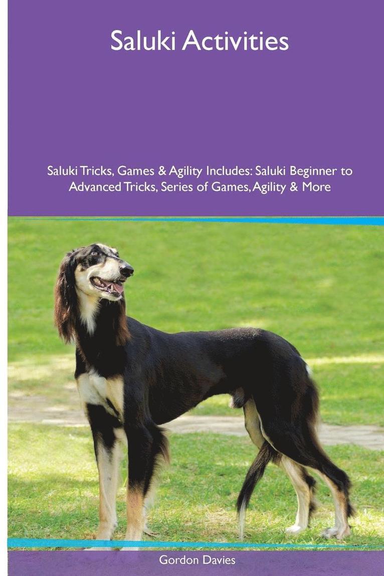 Gordon Davies - Saluki Activities Saluki Tricks, Games & Agility. Includes, Häftad