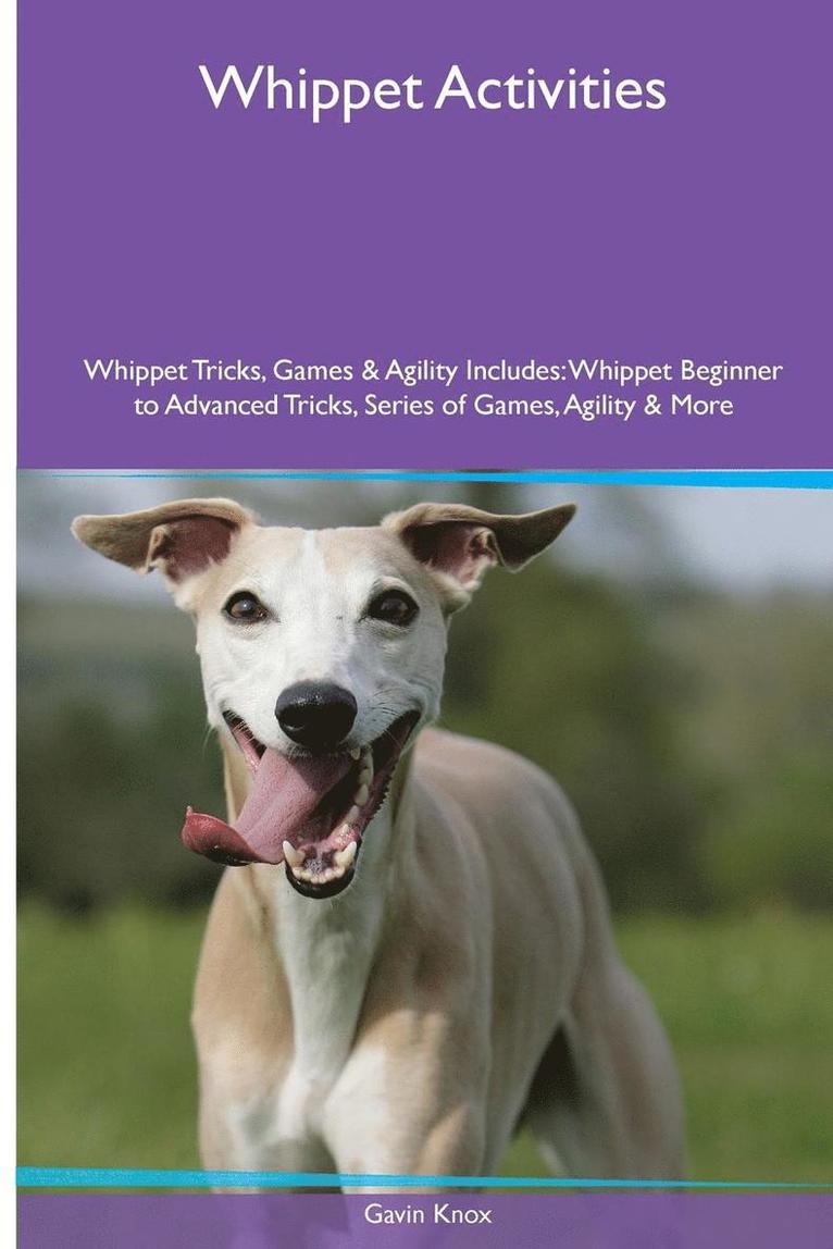 Gavin Knox - Whippet Activities Whippet Tricks, Games & Agility. Includes, Häftad