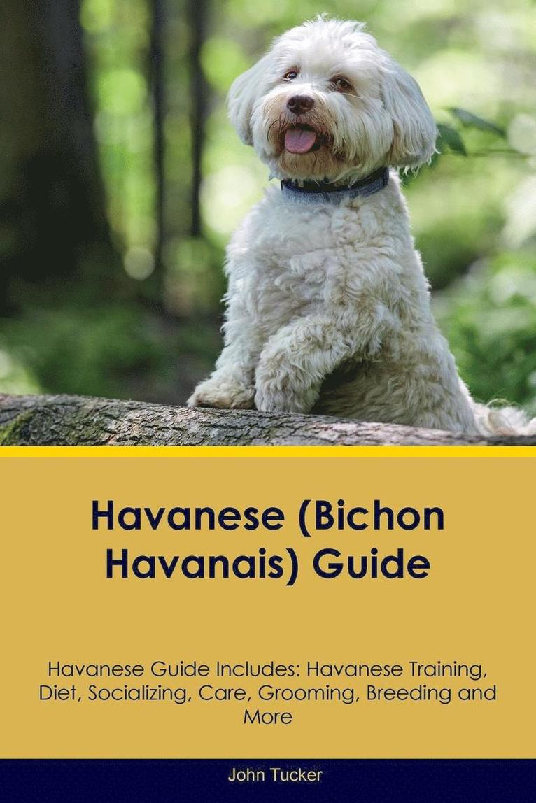 John Tucker - Havanese (Bichon Havanais) Guide Havanese Guide Includes, Häftad
