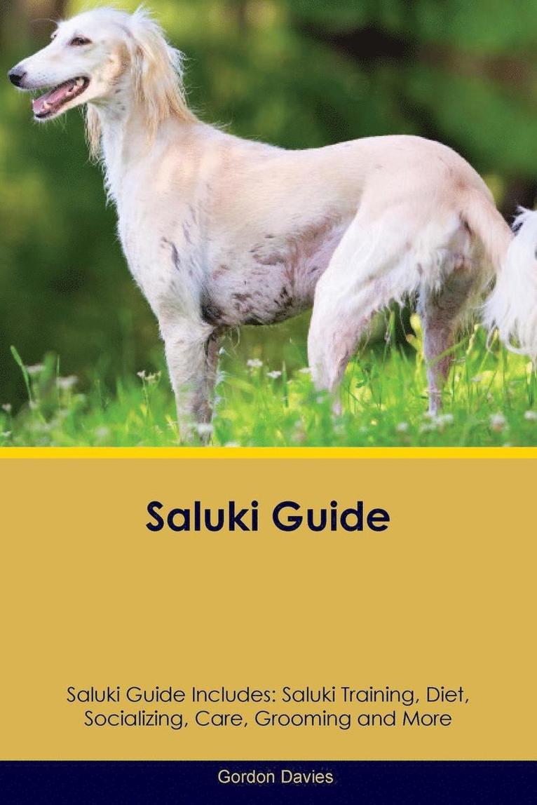 Gordon Davies - Saluki Guide Saluki Guide Includes, Häftad