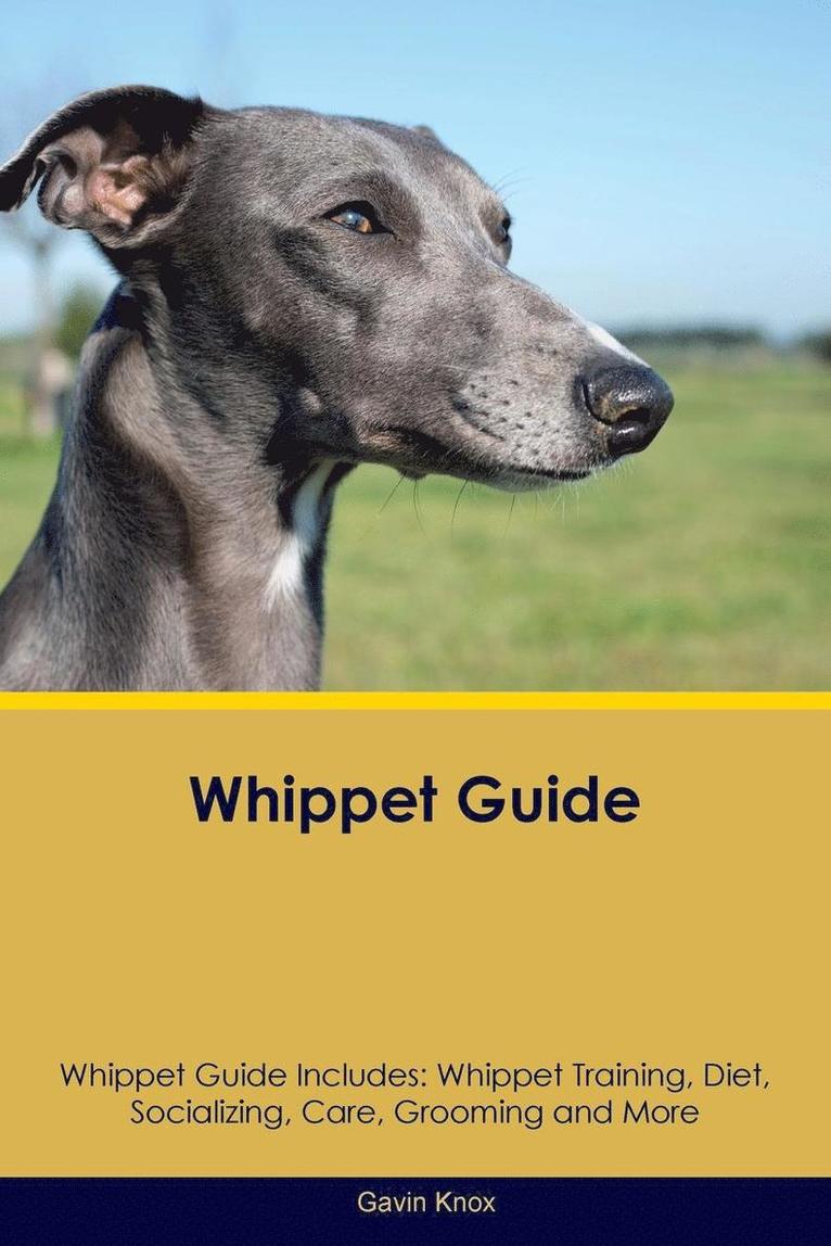 Gavin Knox - Whippet Guide Whippet Guide Includes, Häftad
