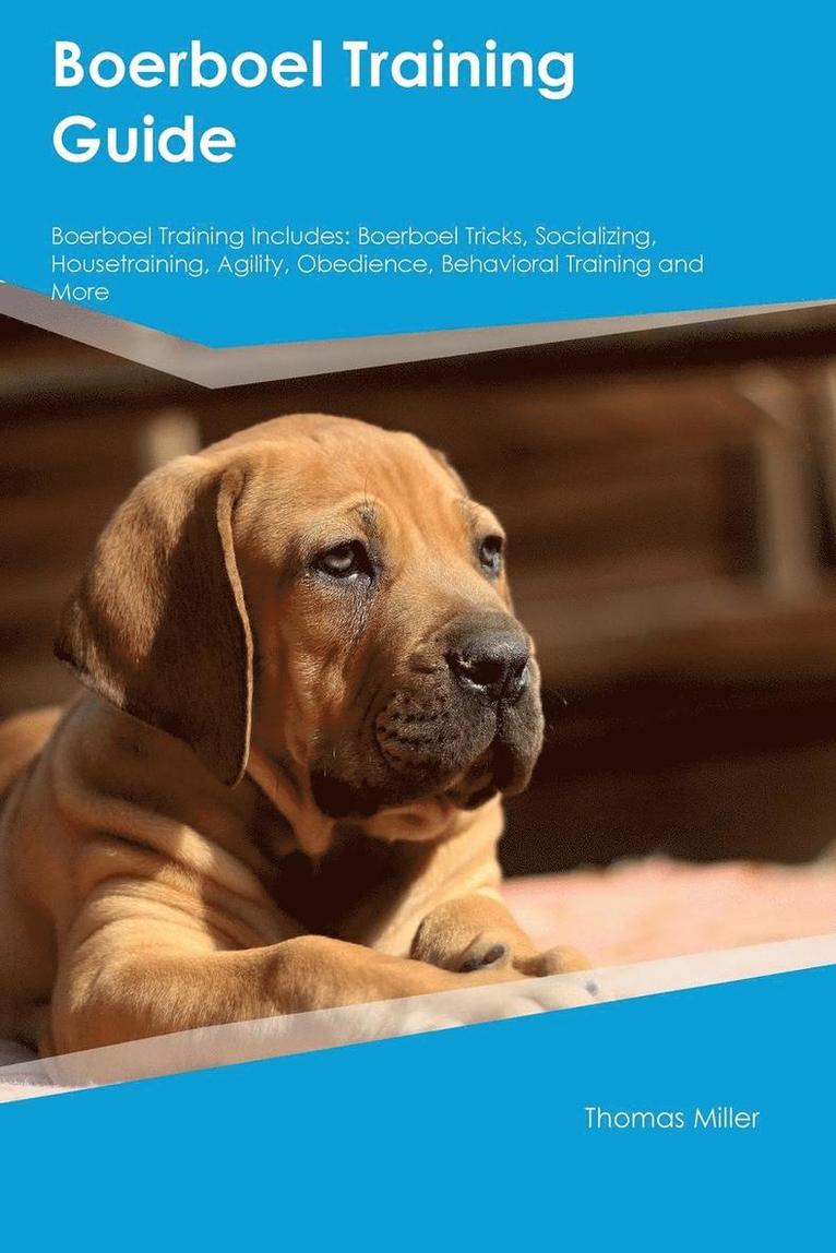 Adam Arnold - Boerboel Training Guide Boerboel Training Includes, Häftad