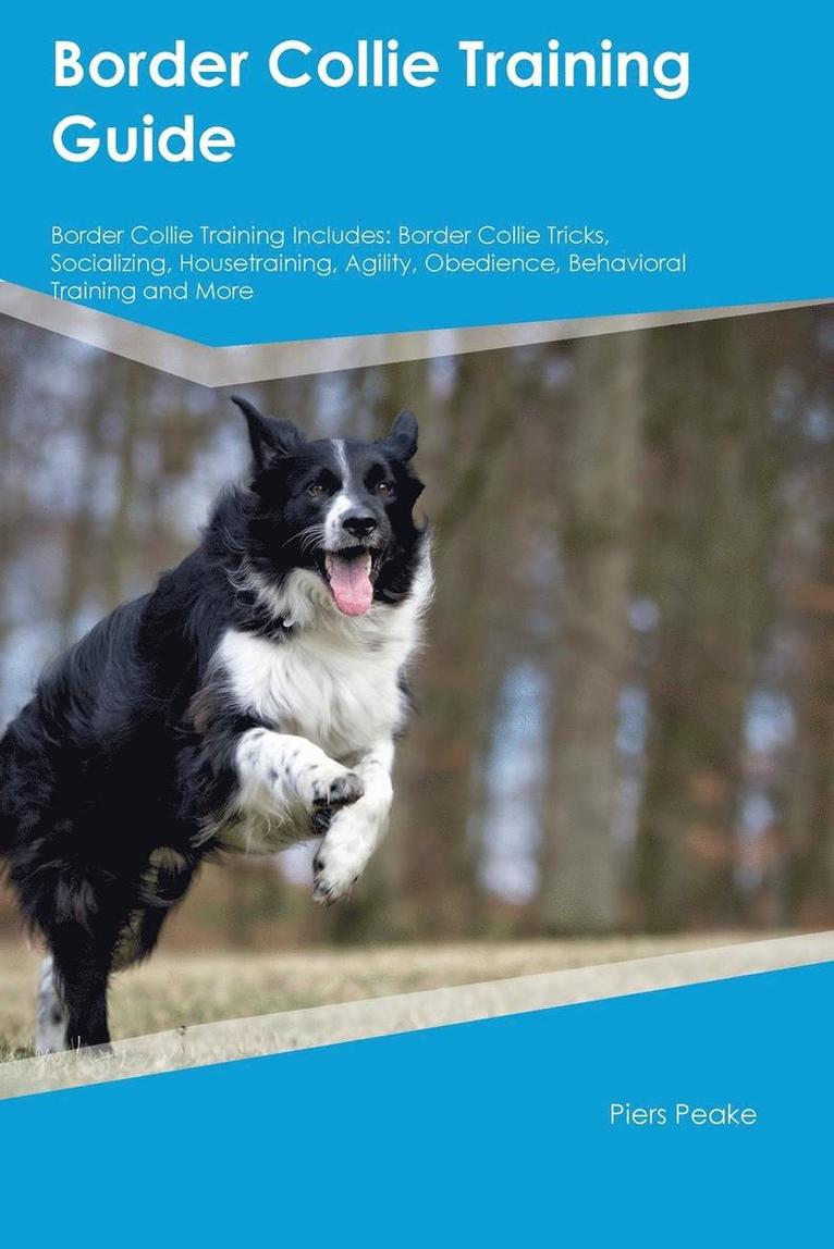Jack Bell - Border Collie Training Guide Border Collie Training Includes, Häftad