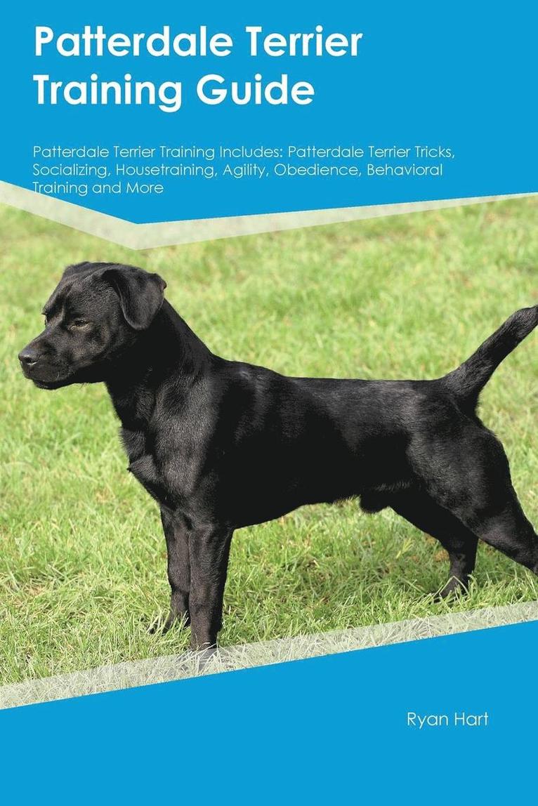 Austin Lewis - Patterdale Terrier Training Guide Patterdale Terrier Training Includes, Häftad