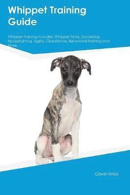 Gavin Knox - Whippet Training Guide Whippet Training Includes, Häftad