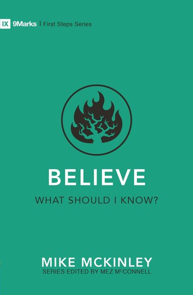 bokomslag Believe - What Should I Know?
