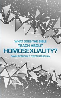 bokomslag What Does the Bible Teach about Homosexuality?