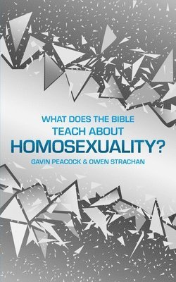 What Does the Bible Teach about Homosexuality? 1