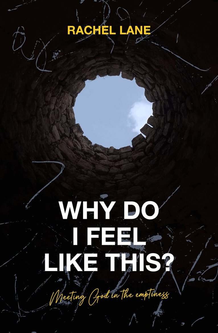 Rachel Lane - Why Do I Feel Like This?, Häftad
