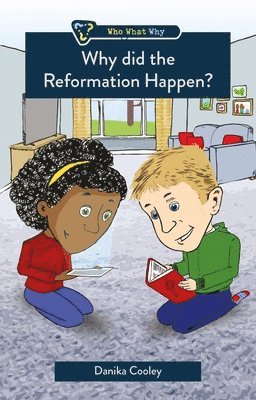 bokomslag Why did the Reformation Happen?