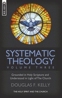 bokomslag Systematic Theology (Volume 3)
