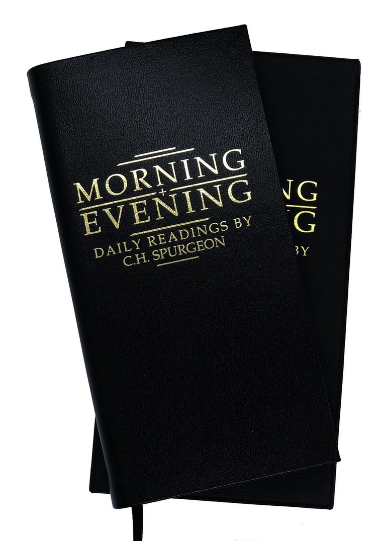 Morning and Evening Black Leather