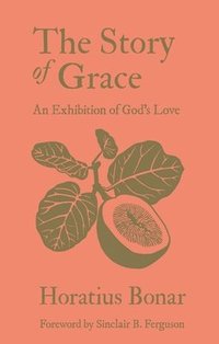 bokomslag Story of Grace