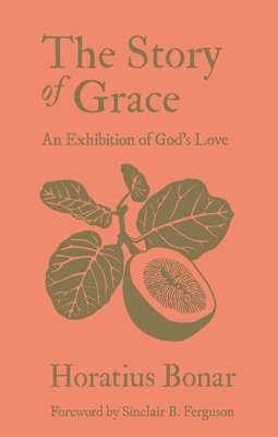 bokomslag Story of Grace