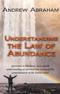 bokomslag Understanding the Law of Abundance