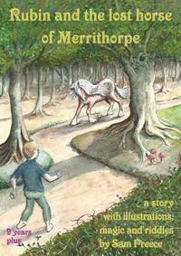 bokomslag Rubin and the lost horse of Merrithorpe