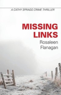 bokomslag Missing Links