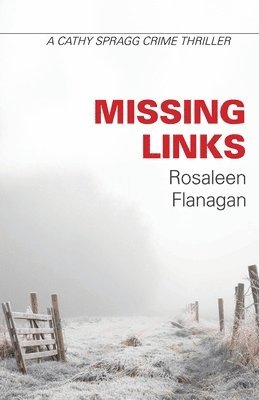 bokomslag Missing Links