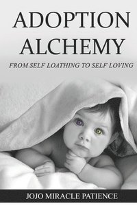 bokomslag Adoption Alchemy