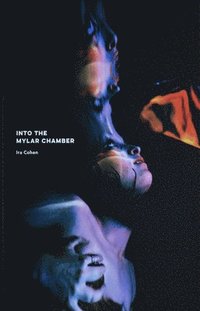 bokomslag IRA Cohen: Into the Mylar Chamber