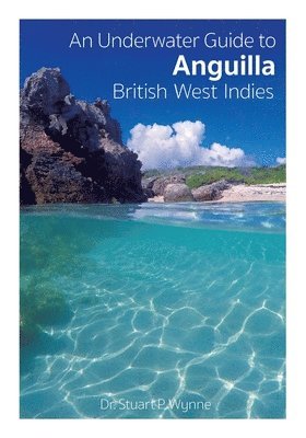 An Underwater Guide to Anguilla British West Indies 1