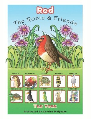 Ted York - Red The Robin & Friends, Häftad
