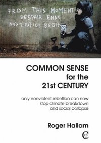 bokomslag Common Sense for the 21st Century