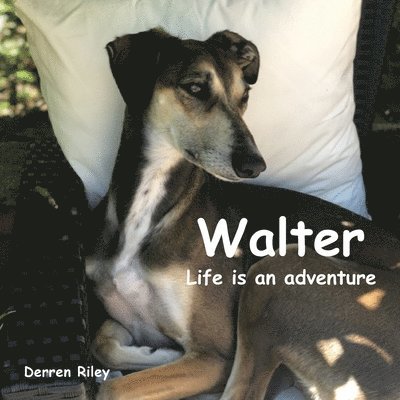 Walter, Life is an adventure 1