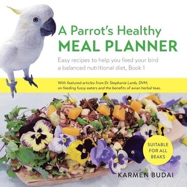 bokomslag A Parrot's Healthy Meal Planner