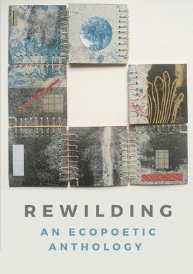 Rewilding 1