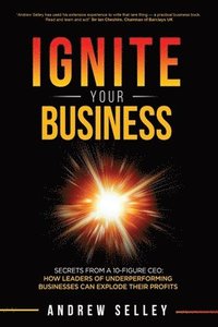 bokomslag IGNITE Your Business!
