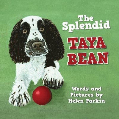 The Splendid Taya Bean 1