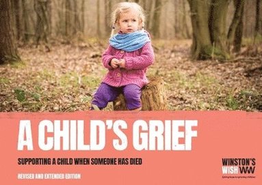 bokomslag Child's Grief