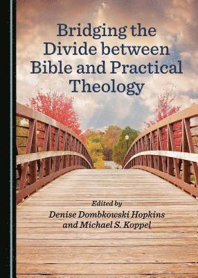 Michael S. Koppel, Denise Dombkowski Hopkins, Michael S. Koppel - Bridging the Divide between Bible and Practical Theology, Inbunden. Tillgänglighet: Tillfälligt slut