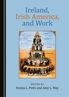 Donna L. Potts, Amy L. May, Donna L. Potts - Ireland, Irish America, and Work, Inbunden