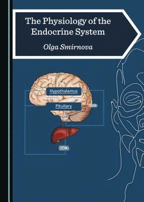 Olga Smirnova - Physiology of the Endocrine System, Inbunden